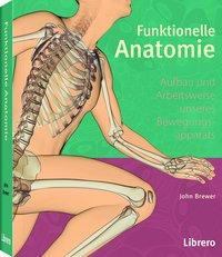 Funktionelle Anatomie