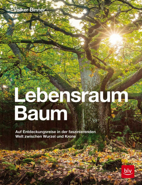 Lebensraum Baum: Auf Entdeckungsreise in der faszinierenden Welt zwischen Wurzel und Krone (BLV Bäume & Pflanzen)