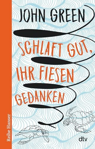 Schlaft gut, ihr fiesen Gedanken (Reihe Hanser)