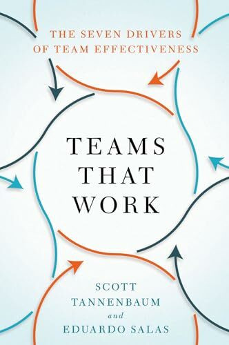 Teams That Work: The Seven Drivers of Team Effectiveness