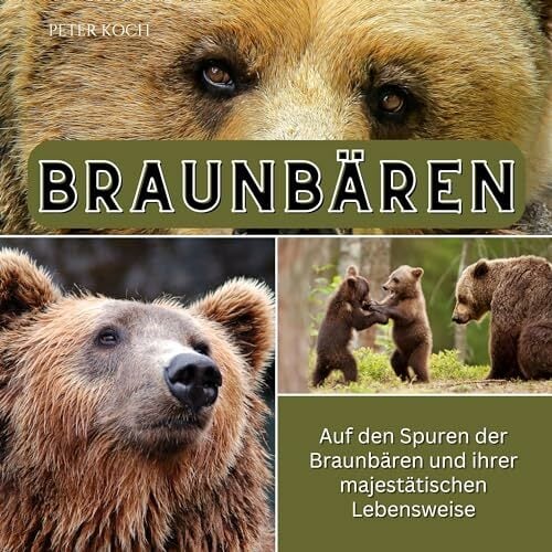 Braunbären: Auf den Spuren der Braunbären und ihrer majestätischen Lebensweise Braunbären: Auf den Spuren der Braunbären und ihrer majestätischen Lebensweise