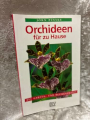 Orchideen für zu Hause
