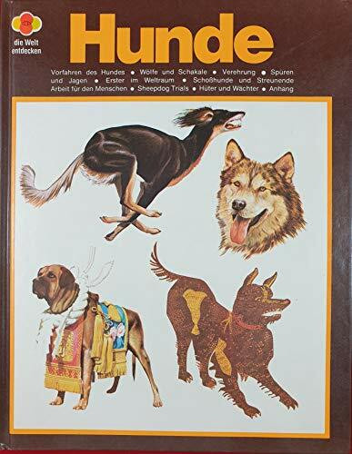 Hunde. ( Die Welt entdecken).
