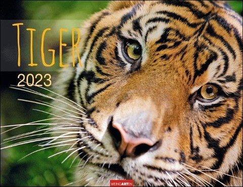 Tiger Kalender 2023