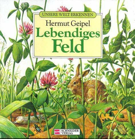 Unsere Welt erkennen / Lebendiges Feld