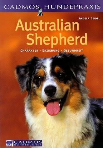Australian Shepherd. Charakter, Ernährung, Gesundheit