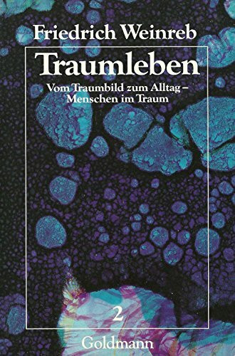 Traumleben Band 2. Vom Traumleben zum Alltag - Menschen im Traum