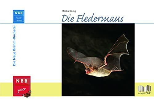 Die Fledermaus (NBB junior)