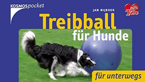 Treibball für Hunde: Für unterwegs