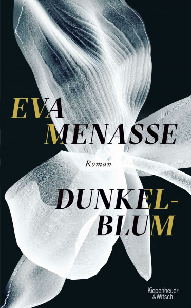 Dunkelblum: Roman