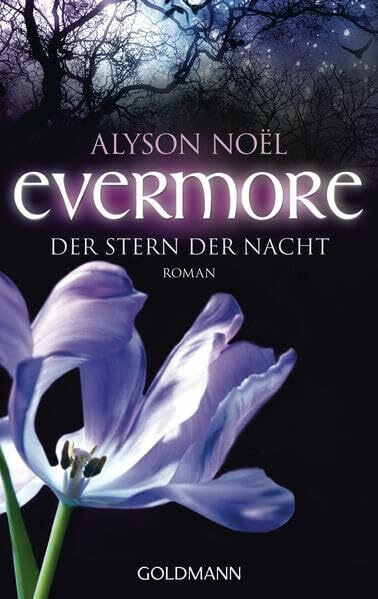 Evermore 5 - Der Stern der Nacht: Roman