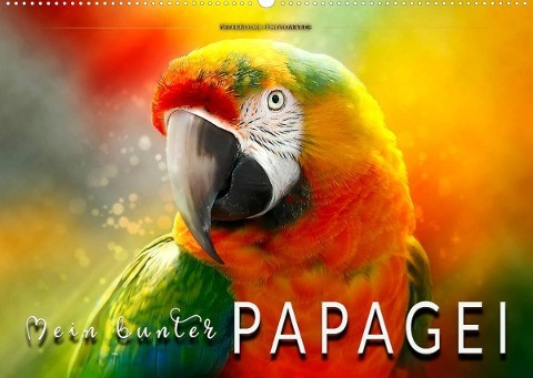 Mein bunter Papagei (Wandkalender 2022 DIN A2 quer)