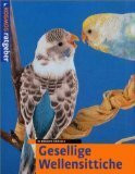 Gesellige Wellensittiche