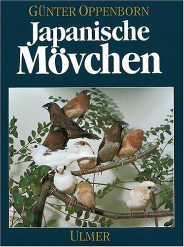 Japanische Mövchen: Herkunft, Haltung, Zucht