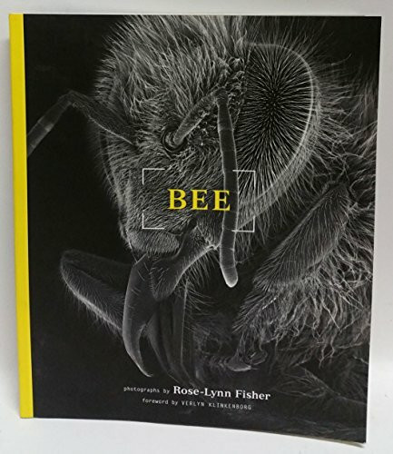 Bee: Rose-Lynn Fisher