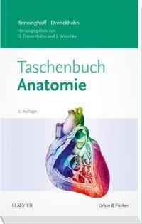 Benninghoff Taschenbuch Anatomie