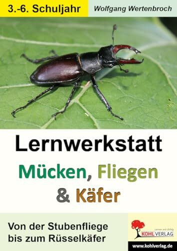 Mücken Fliegen Käfer Insekten Biologie Sachunterricht Grundschule Sekundarstufe Klasse 3 4 5 6 | Stubenfliege Marienkäfer Maikäfer Stechmücke ... Von der Stubenfliege bis zum Rüsselkäfer