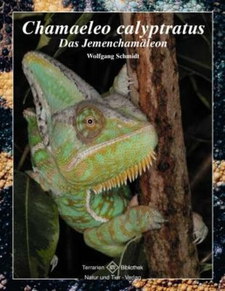 Chamaeleo calyptratus: Das Jemenchamäleon (Terrarien-Bibliothek)