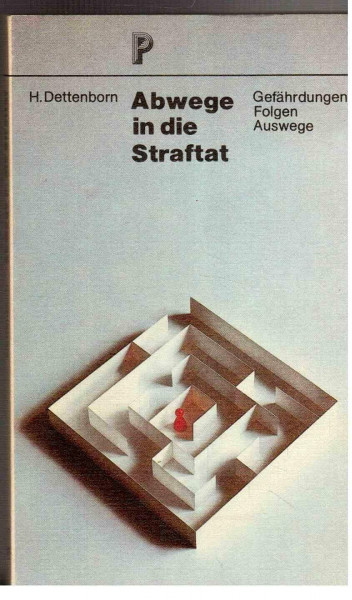Abwege in die Straftat. Gefährdungen - Folgen - Auswege