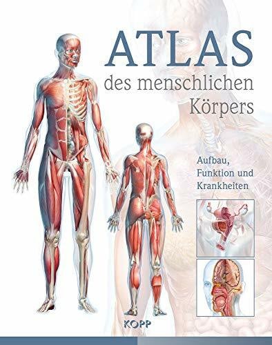 Atlas des menschlichen Körpers