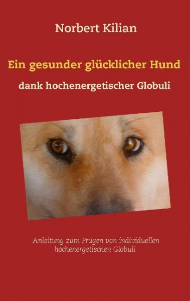 Ein gesunder glücklicher Hund dank hochenergetischer Globuli