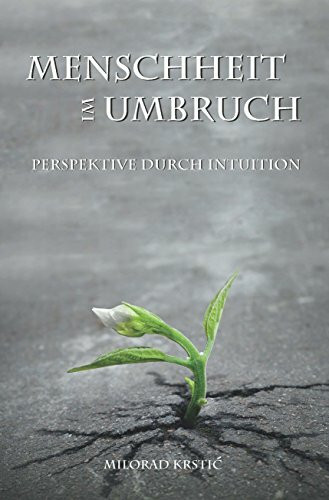 Menschheit im Umbruch. Perspektive durch Intuition