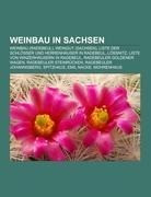 Weinbau in Sachsen