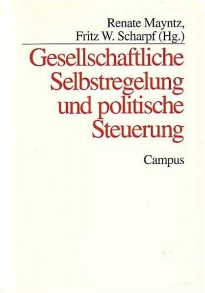 Gesellschaftliche Selbstregelung und politische Steuerung (Schriften aus dem MPI für Gesellschaftsforschung)