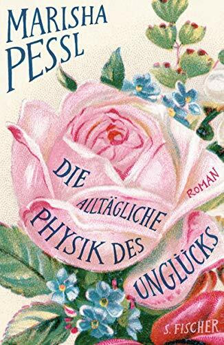 Die alltägliche Physik des Unglücks: Roman