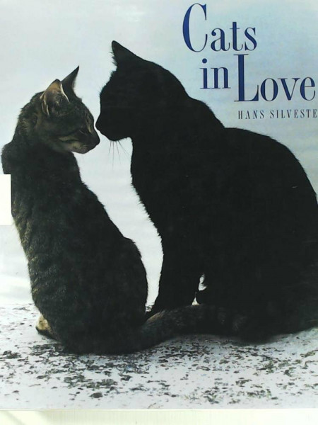 Cats in Love