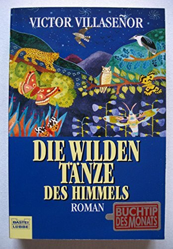 Die wilden Tänze des Himmels (Allgemeine Reihe. Bastei Lübbe Taschenbücher)