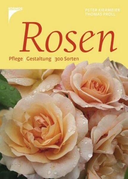 Rosen