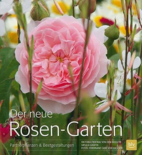 Der neue Rosen-Garten: Partnerpflanzen & Beetgestaltungen (BLV Gestaltung & Planung Garten)