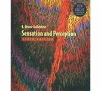 Sensation and Perception.