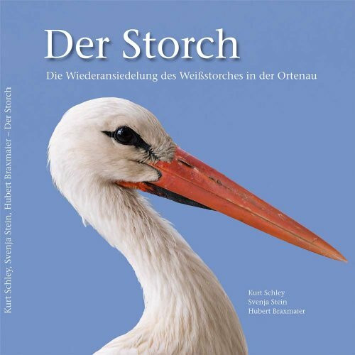 Der Storch