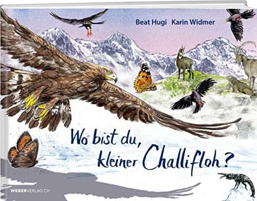 Wo bist du, kleiner Challifloh? Wo bist du, kleiner Challifloh?