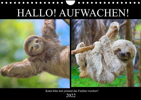 Hallo! Aufwachen! Kann bitte mal jemand das Faultier wecken? (Wandkalender 2022 DIN A4 quer)