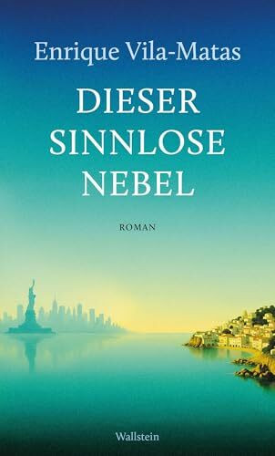 Dieser sinnlose Nebel: Roman