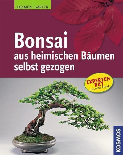 Bonsai aus heimischen Bäumen selbst gezogen