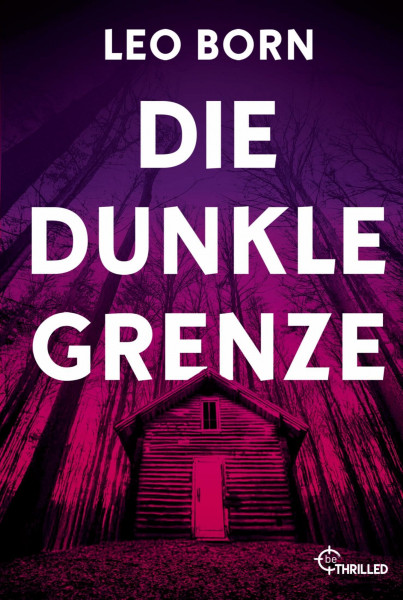 Die dunkle Grenze (Ein Jack-Diehl-Thriller)