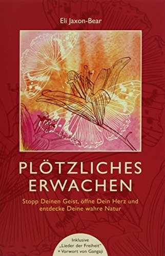 Plötzliches Erwachen: Stopp deinen Geist, öffne dein Herz und entdecke deine wahre Natur