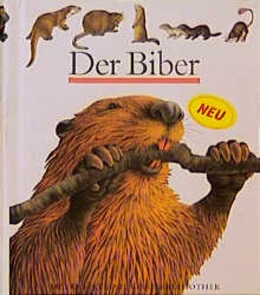 Der Biber (Meyers kleine Kinderbibliothek)