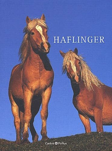 HAFLINGER