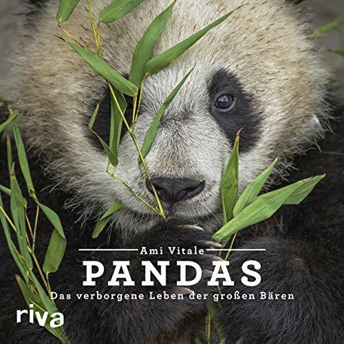 Pandas: Das verborgene Leben der großen Bären