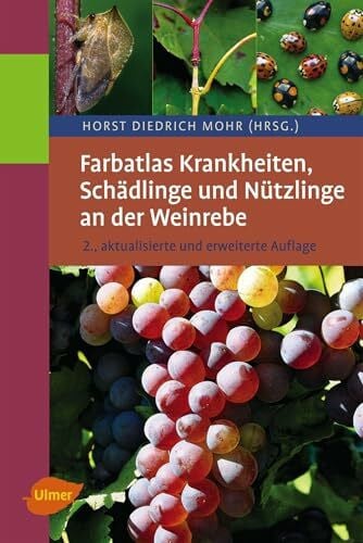 Krankheiten, Schädlinge und Nützlinge an der Weinrebe