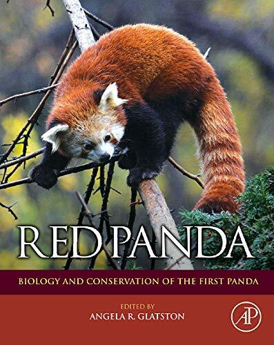 Red Panda: Biology and Conservation of the First Panda (Noyes Series in Animal Behavior, Ecology, Conservation, and Management)