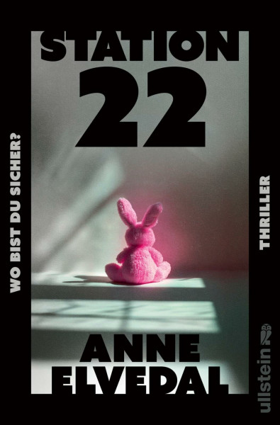 Station 22. Wo bist du sicher?: Thriller | Ein nordischer Thriller, eisiger als ein Wintermorgen in Oslo