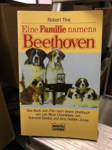 Eine Familie namens Beethoven (Allgemeine Reihe. Bastei Lübbe Taschenbücher)