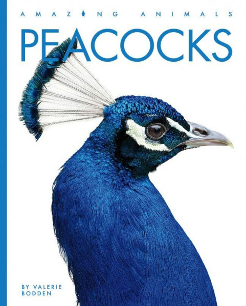 Peacocks (Amazing Animals)