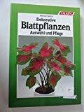 Dekorative Blattpflanzen. Auswahl und Pflege.